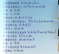 รวมเพลงจีนกลางอมตะ Vol.1 VCD1307-WEB2